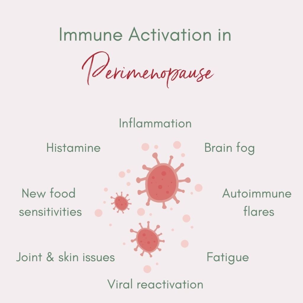 Picture shows the different symptoms of immune system dysfunction in perimenopause - joint and skin issues, new food intolerances, histamine intolerance, brain fog, autoimmune disease, fatigue etc