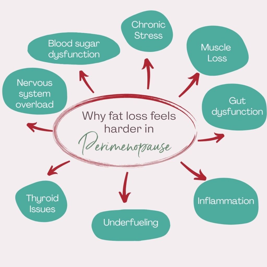 Why weight loss is so much harder in perimenopause