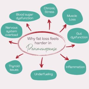 Why weight loss is so much harder in perimenopause
