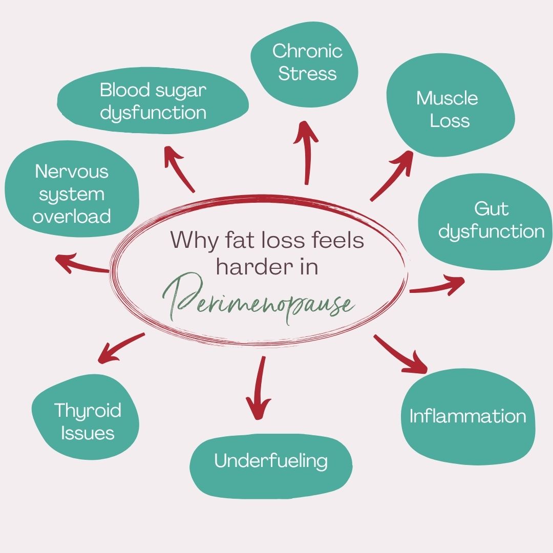 Why weight loss is so much harder in perimenopause