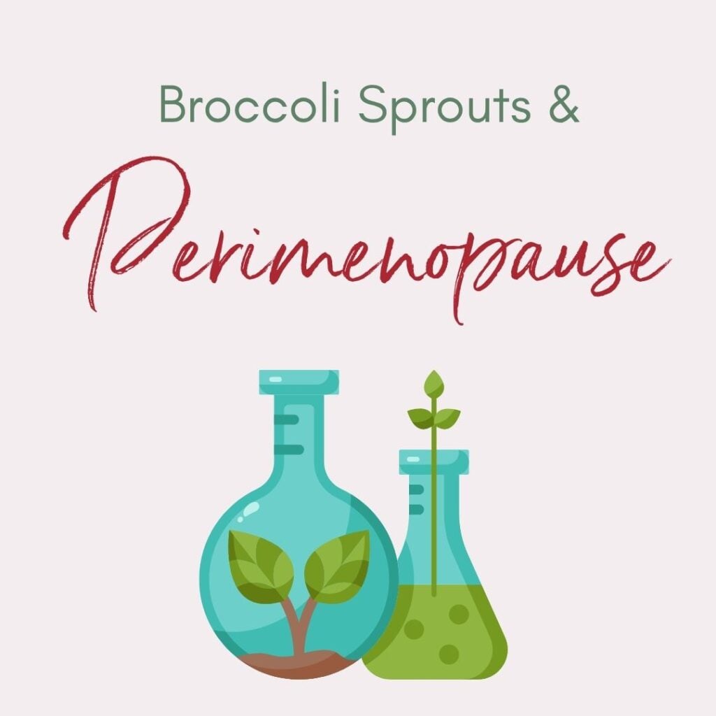 Broccoli sprouts for perimenopause support